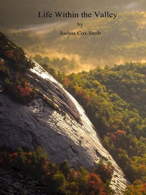 cover image of Life within the Valley
